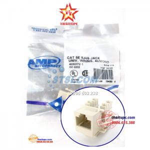 Nhân mạng, ổ cắm mạng, ruột mạng Modul jack AMP RJ45