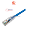 day-nhay-chinh-hang-amp/commscope-cat-5e-mau-xanh-duong-3m - ảnh nhỏ  1