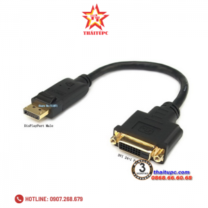 Cáp chuyển đổi DisplayPort to DVI Female 20cm